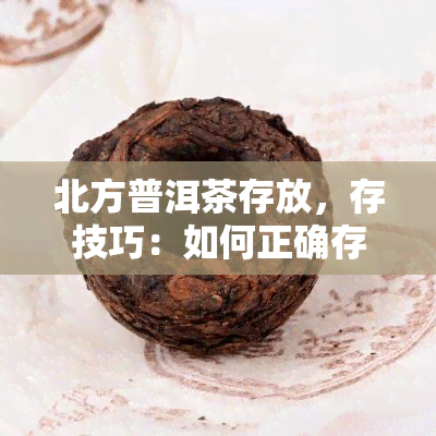 北方普洱茶存放，存技巧：如何正确存放北方普洱茶？