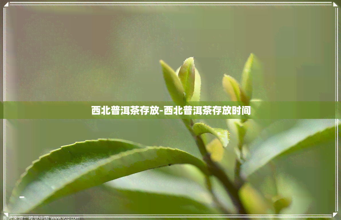 西北普洱茶存放-西北普洱茶存放时间