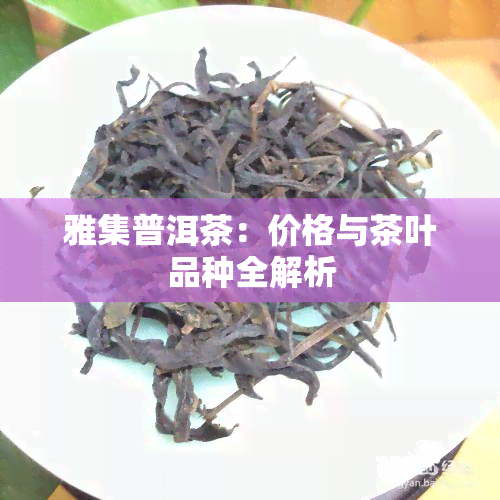 雅集普洱茶：价格与茶叶品种全解析