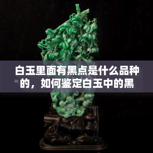 白玉里面有黑点是什么品种的，如何鉴定白玉中的黑点？不同品种白玉的特点与差异