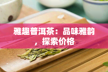 雅趣普洱茶：品味雅韵，探索价格