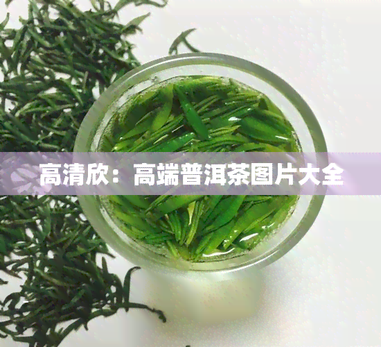 高清欣：高端普洱茶图片大全