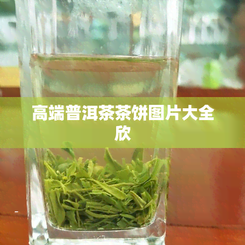 高端普洱茶茶饼图片大全欣