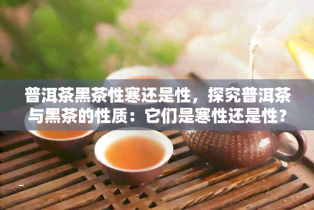 普洱茶黑茶性寒还是性，探究普洱茶与黑茶的性质：它们是寒性还是性？