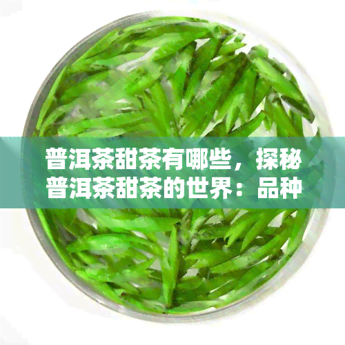 普洱茶甜茶有哪些，探秘普洱茶甜茶的世界：品种与特点全解析