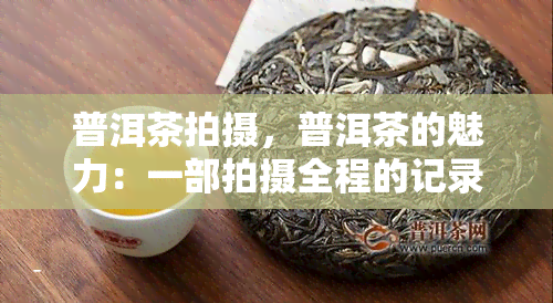 普洱茶拍摄，普洱茶的魅力：一部拍摄全程的记录片