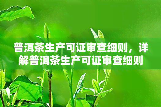 普洱茶生产可证审查细则，详解普洱茶生产可证审查细则