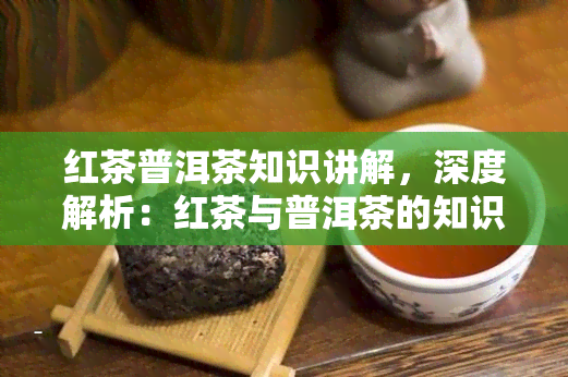 红茶普洱茶知识讲解，深度解析：红茶与普洱茶的知识大讲堂