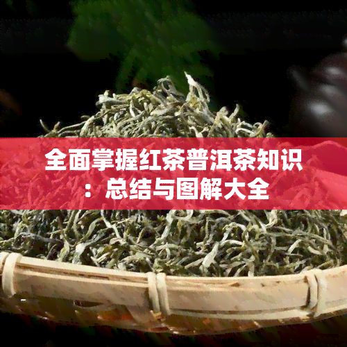 全面掌握红茶普洱茶知识：总结与图解大全