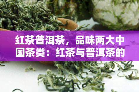 红茶普洱茶，品味两大中国茶类：红茶与普洱茶的异同与魅力