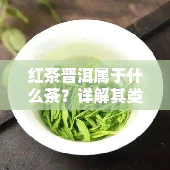 红茶普洱属于什么茶？详解其类别与品种