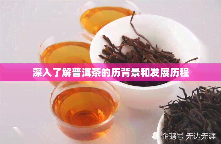 深入了解普洱茶的历背景和发展历程