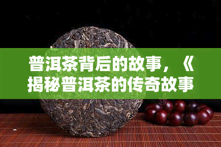 普洱茶背后的故事，《揭秘普洱茶的传奇故事：从种植到饮用的全过程》