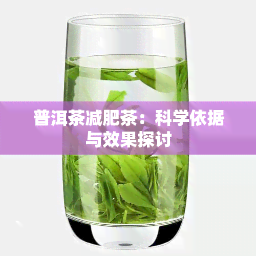 普洱茶减肥茶：科学依据与效果探讨