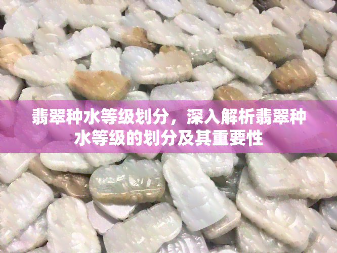 翡翠种水等级划分，深入解析翡翠种水等级的划分及其重要性