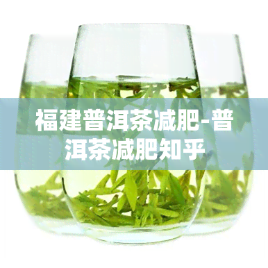 福建普洱茶减肥-普洱茶减肥知乎