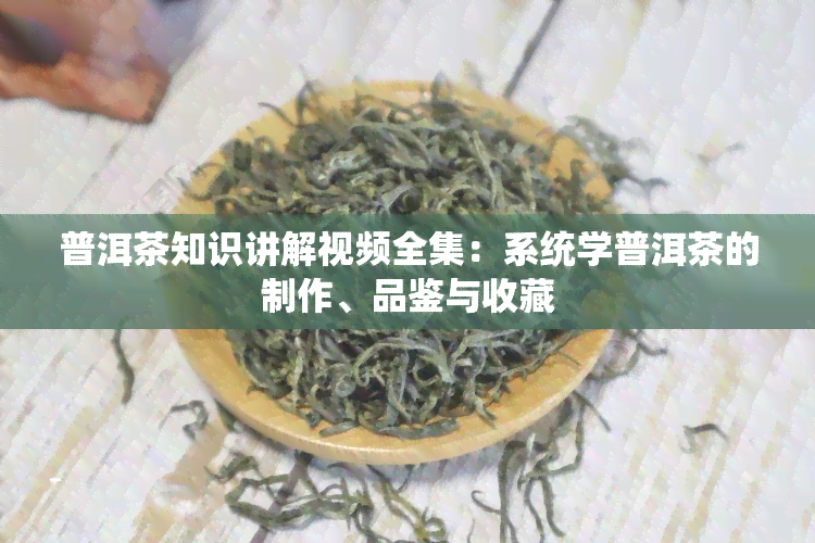 普洱茶知识讲解视频全集：系统学普洱茶的制作、品鉴与收藏