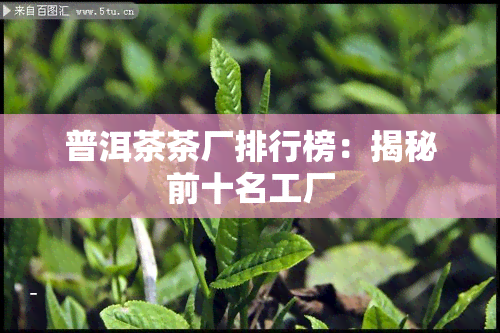 普洱茶茶厂排行榜：揭秘前十名工厂