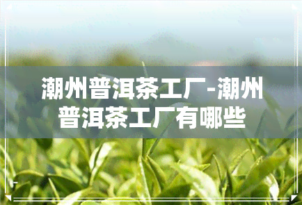 潮州普洱茶工厂-潮州普洱茶工厂有哪些