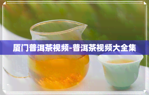 厦门普洱茶视频-普洱茶视频大全集