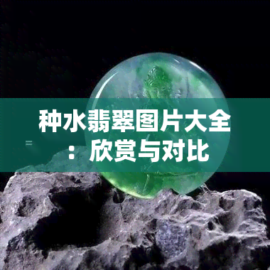 种水翡翠图片大全：欣赏与对比