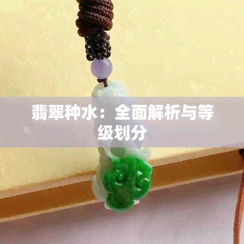 翡翠种水：全面解析与等级划分