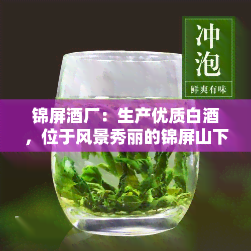 锦屏酒厂：生产优质白酒，位于风景秀丽的锦屏山下，同时设有豪华酒店提供住宿服务。