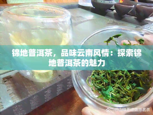 锦地普洱茶，品味云南风情：探索锦地普洱茶的魅力