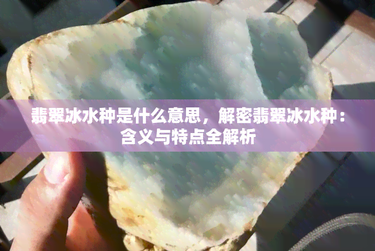 翡翠冰水种是什么意思，解密翡翠冰水种：含义与特点全解析