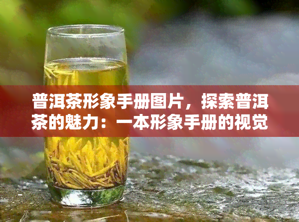 普洱茶形象手册图片，探索普洱茶的魅力：一本形象手册的视觉之旅