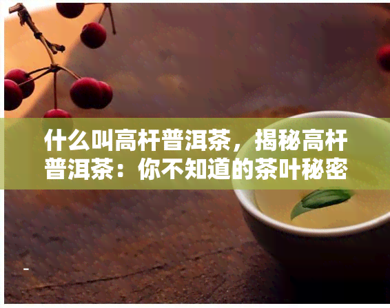 什么叫高杆普洱茶，揭秘高杆普洱茶：你不知道的茶叶秘密！