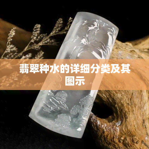 翡翠种水的详细分类及其图示