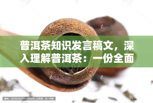 普洱茶知识发言稿文，深入理解普洱茶：一份全面的普洱茶知识发言稿文