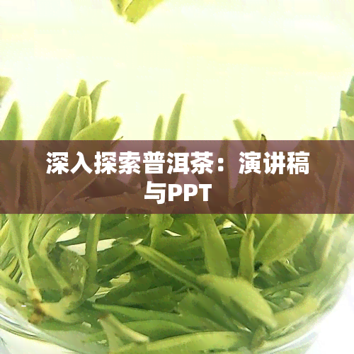 深入探索普洱茶：演讲稿与PPT