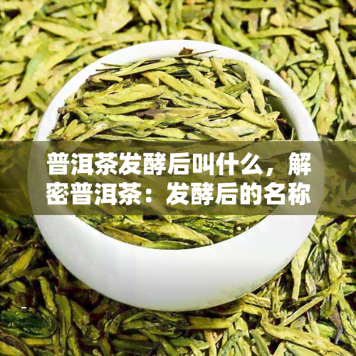 普洱茶发酵后叫什么，解密普洱茶：发酵后的名称是什么？