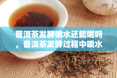 普洱茶发酵喷水还能喝吗，普洱茶发酵过程中喷水，是否会影响其口感与饮用安全？