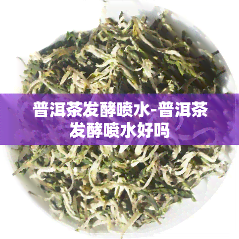 普洱茶发酵喷水-普洱茶发酵喷水好吗