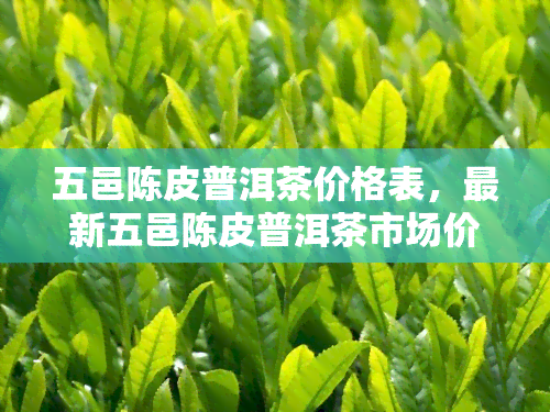 五邑陈皮普洱茶价格表，最新五邑陈皮普洱茶市场价格一览表