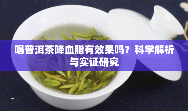 喝普洱茶降血脂有效果吗？科学解析与实证研究