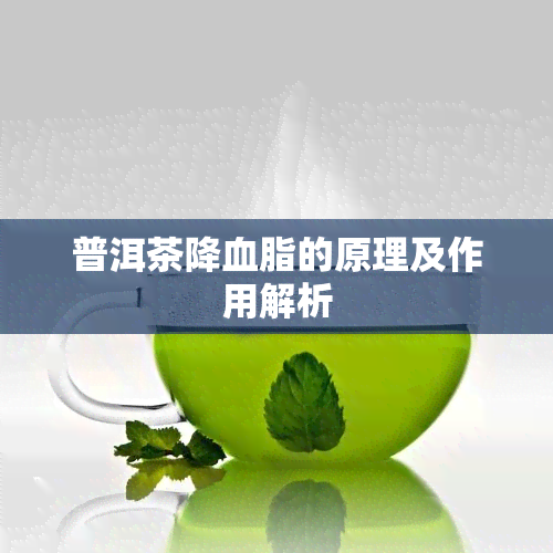 普洱茶降血脂的原理及作用解析