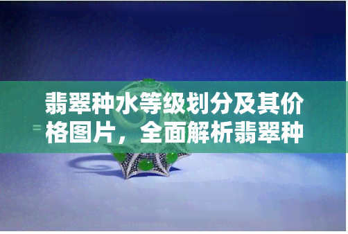 翡翠种水等级划分及其价格图片，全面解析翡翠种水等级与价格：附高清图片展示