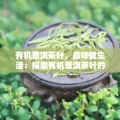 有机普洱茶叶，品味健生活：探索有机普洱茶叶的世界