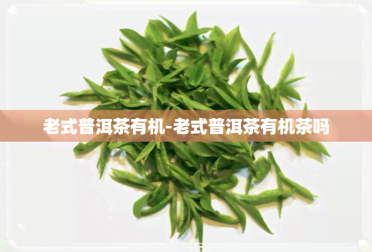 老式普洱茶有机-老式普洱茶有机茶吗