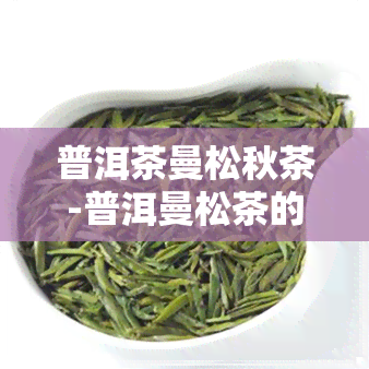 普洱茶曼松秋茶-普洱曼松茶的特点