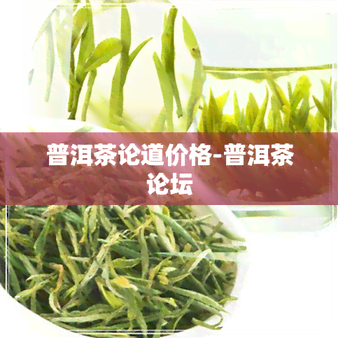 普洱茶论道价格-普洱茶论坛