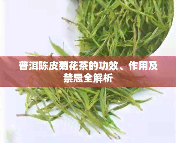 普洱陈皮菊花茶的功效、作用及禁忌全解析