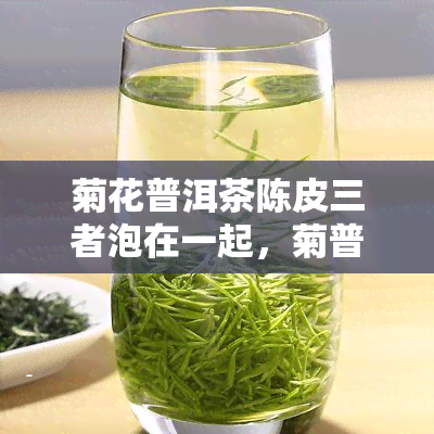 菊花普洱茶陈皮三者泡在一起，菊普陈：探索菊花、普洱茶和陈皮的独特组合