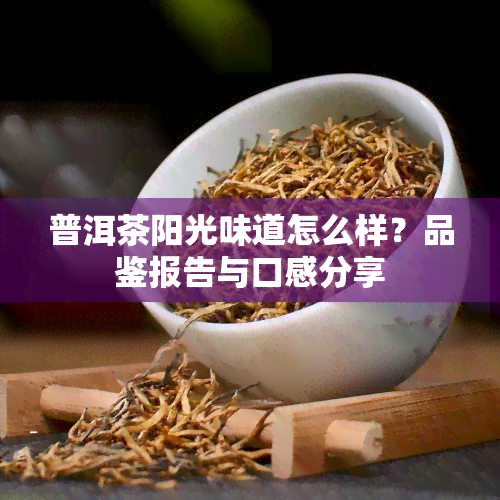 普洱茶阳光味道怎么样？品鉴报告与口感分享