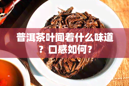 普洱茶叶闻着什么味道？口感如何？