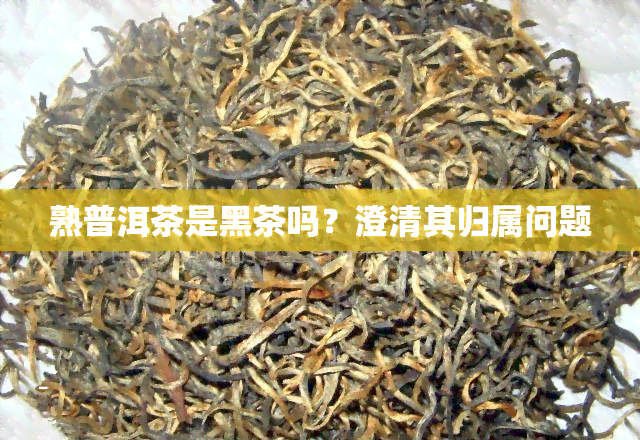 熟普洱茶是黑茶吗？澄清其归属问题